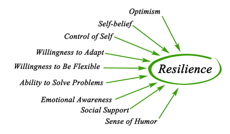 Resilience And Career Success